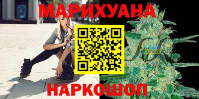 сатива Гусев