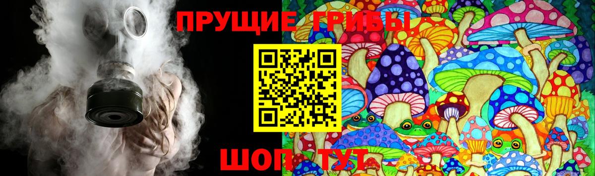 Галлюциногенные грибы MAGIC MUSHROOMS  Вход с VPN  Псилоцибиновые грибы GOLDEN TEACHER  Петрозаводск 